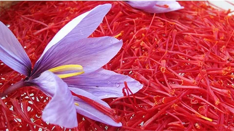 تصویر 1 از فروش زعفران بسته بندی لوکس + قیمت خرید به صرفه